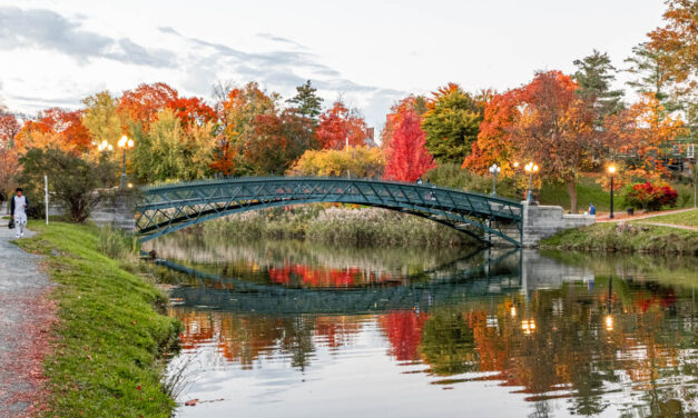 Rise and Shine: Wednesday, Nov. 5, 2025