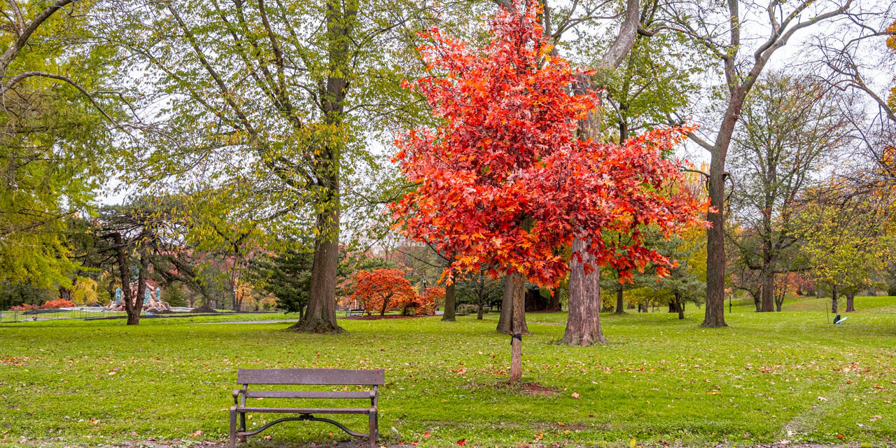 Rise and Shine: Monday, Nov. 3, 2025