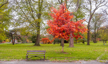 Rise and Shine: Monday, Nov. 3, 2025