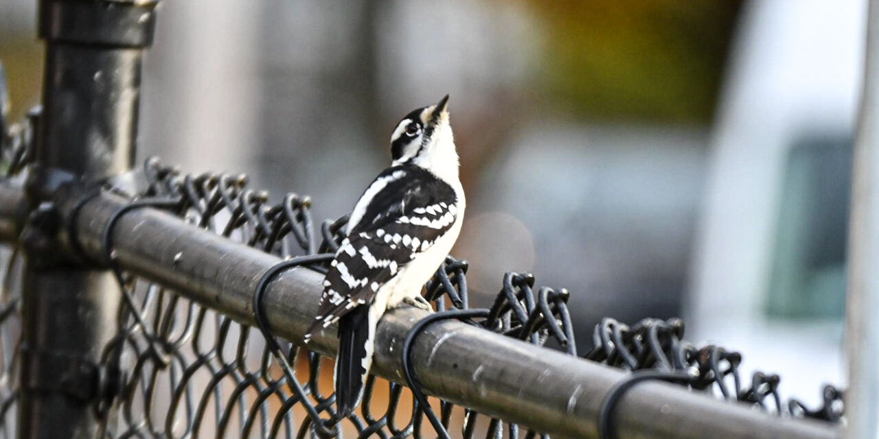 Rise and Shine: Thursday, Nov. 20, 2025