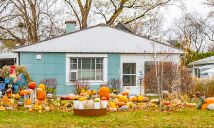 Rise and Shine: Tuesday, Nov. 25, 2025