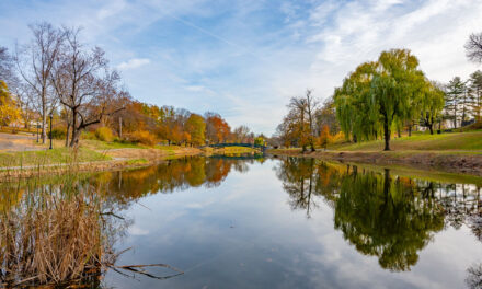 Rise and Shine: Thursday, Nov. 13, 2025