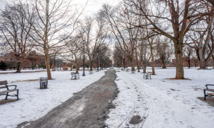 Rise and Shine: Friday, Dec. 5, 2025