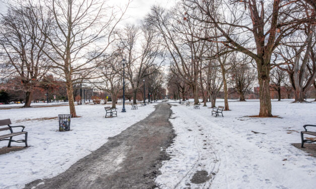 Rise and Shine: Friday, Dec. 5, 2025