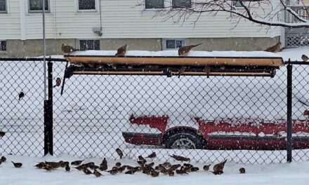 Rise and Shine: Tuesday, Dec. 9, 2025