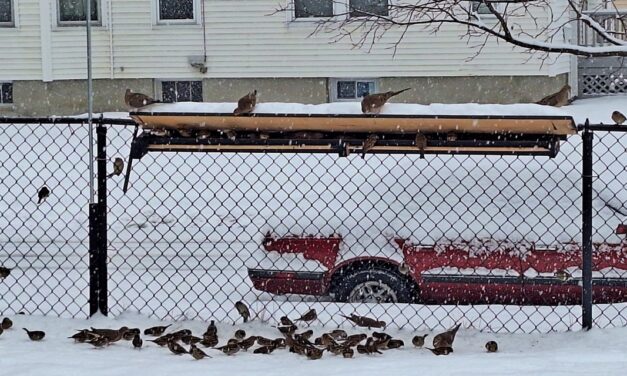 Rise and Shine: Tuesday, Dec. 9, 2025