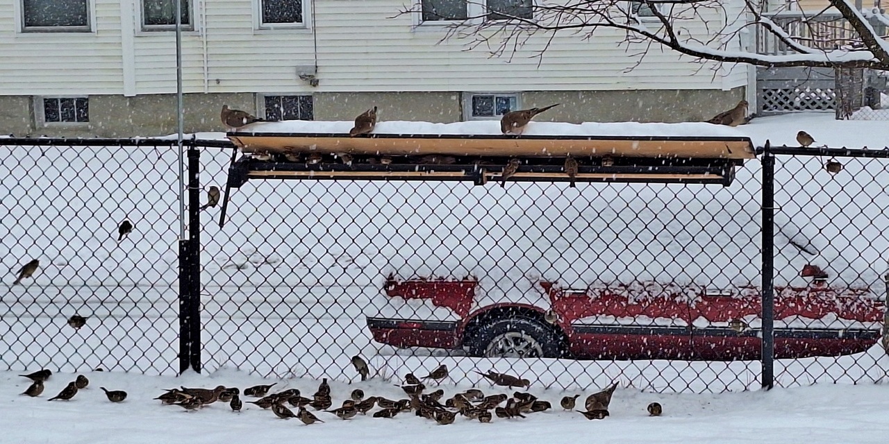 Rise and Shine: Tuesday, Dec. 9, 2025