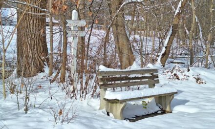 Rise and Shine: Wednesday, Dec. 10, 2025