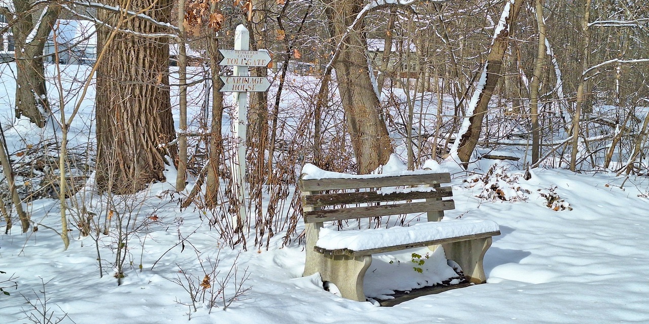 Rise and Shine: Wednesday, Dec. 10, 2025