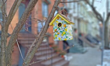 Rise and Shine: Wednesday, Jan. 7, 2026