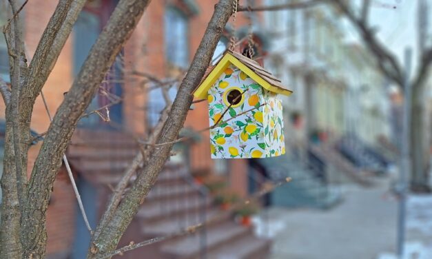 Rise and Shine: Wednesday, Jan. 7, 2026