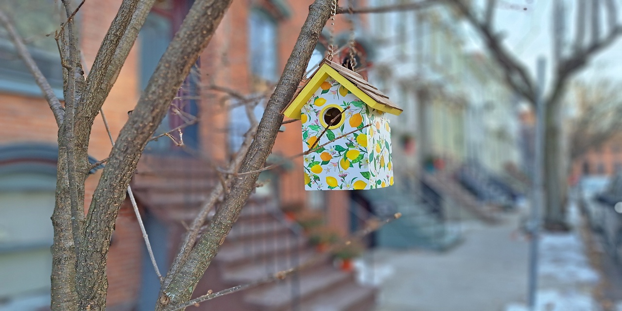 Rise and Shine: Wednesday, Jan. 7, 2026