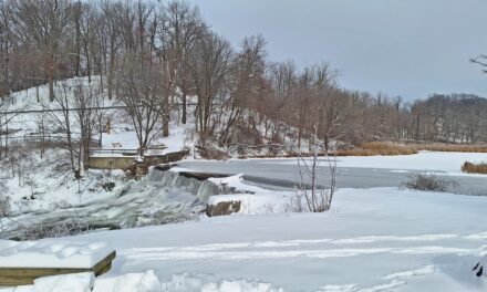 Rise and Shine: Thursday, Jan. 8, 2026