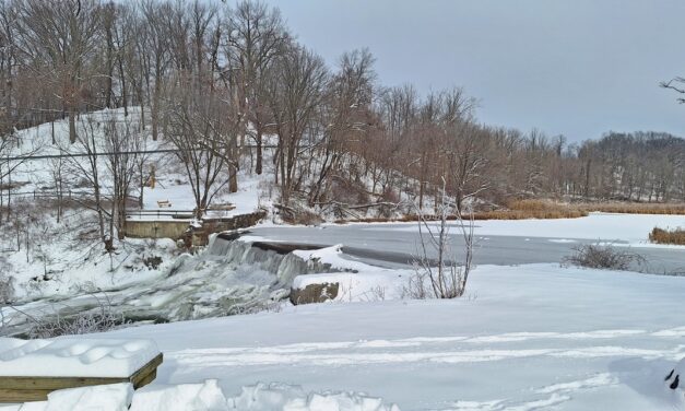 Rise and Shine: Thursday, Jan. 8, 2026