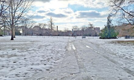 Rise and Shine: Friday, Jan. 23, 2026