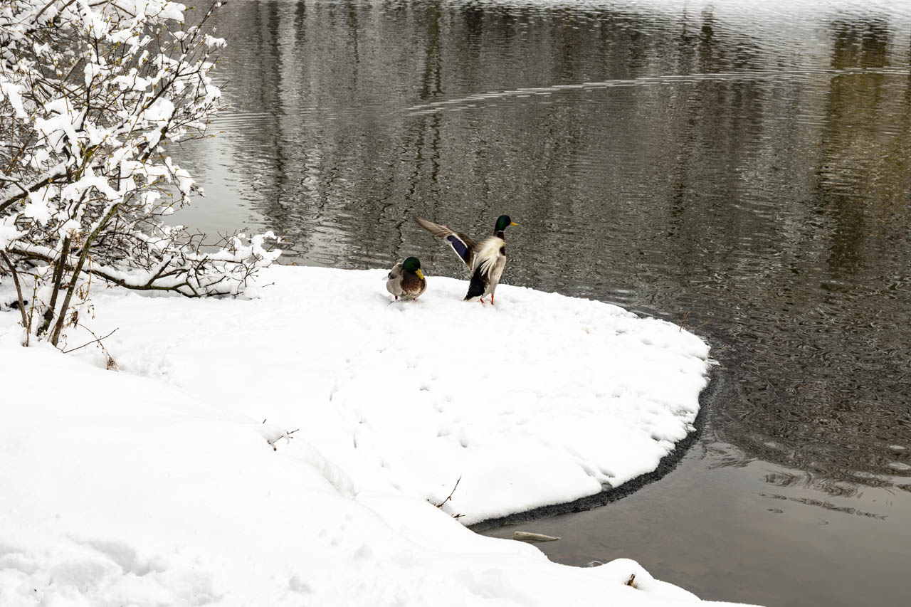 Rise and Shine: Friday, Jan. 9, 2026