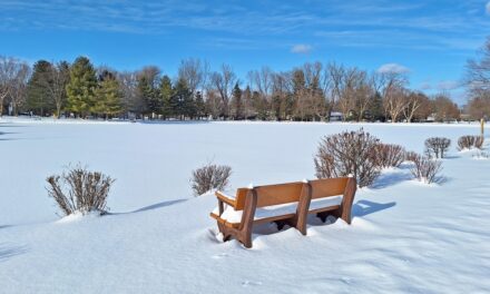 Rise and Shine: Friday, Feb. 6, 2026