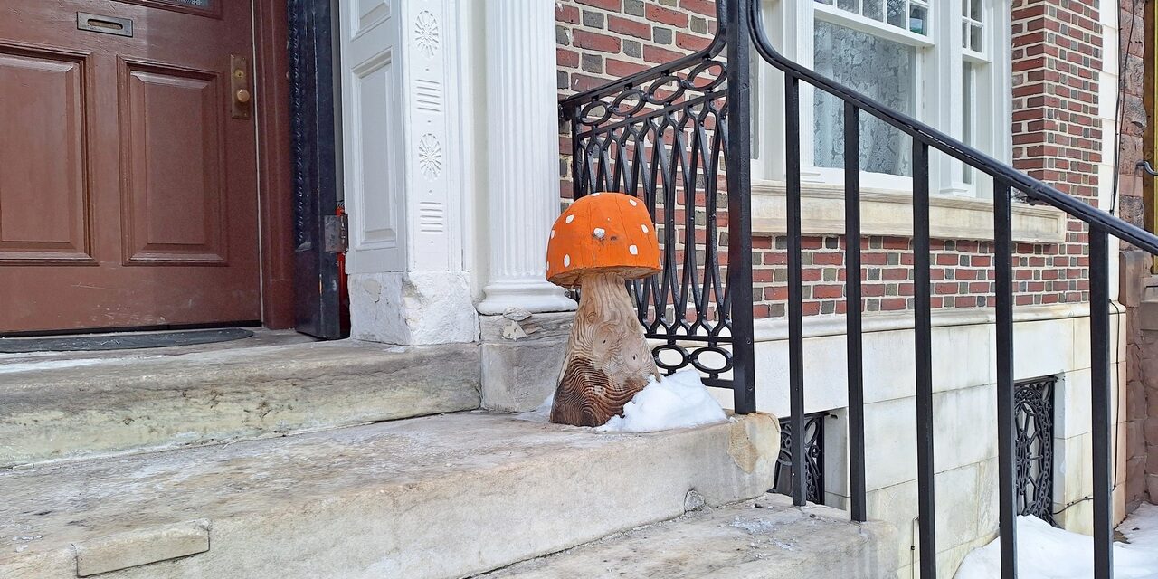 Rise and Shine: Wednesday, Feb. 18, 2026