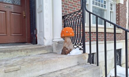 Rise and Shine: Wednesday, Feb. 18, 2026