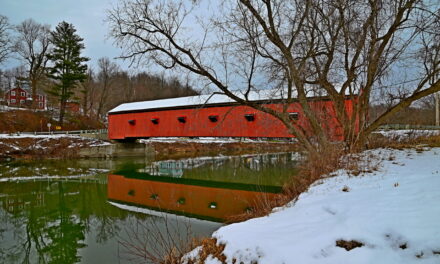 Rise and Shine: Wednesday, Feb. 11, 2026