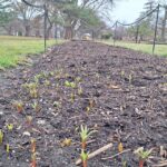 Rise and Shine: Monday, March 16, 2026