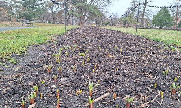 Rise and Shine: Monday, March 16, 2026