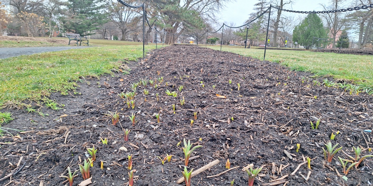 Rise and Shine: Monday, March 16, 2026