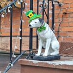 Rise and Shine: Tuesday, March 17, 2026