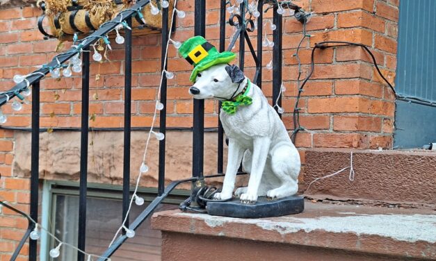 Rise and Shine: Tuesday, March 17, 2026