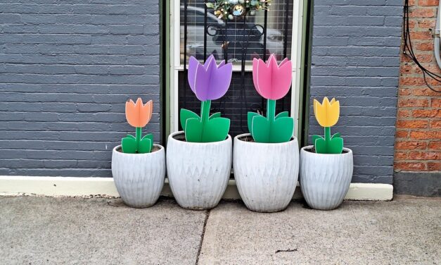 Rise and Shine: Wednesday, April 1, 2026