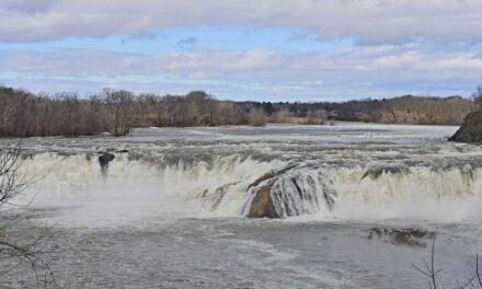 Rise and Shine: Tuesday, March 10, 2026