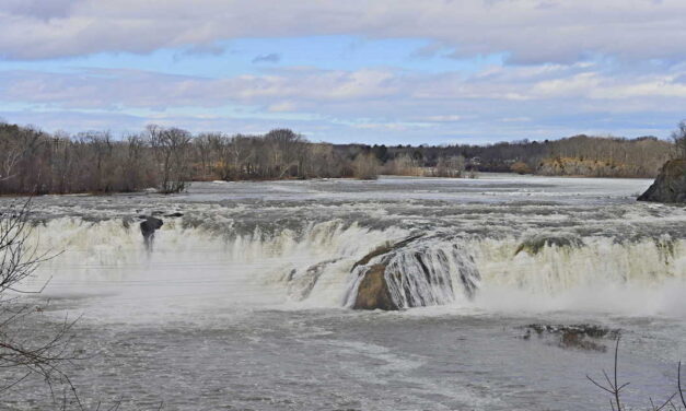 Rise and Shine: Tuesday, March 10, 2026