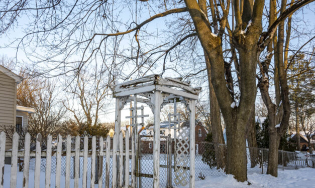 Rise and Shine: Friday, March 6, 2026