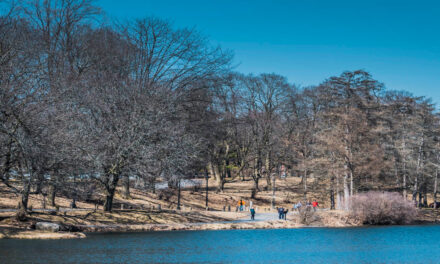 Rise and Shine: Friday, March 20, 2026