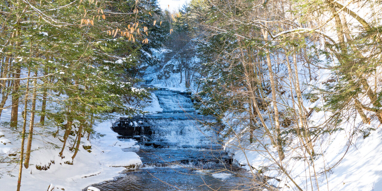 Rise and Shine: Tuesday, March 3, 2026