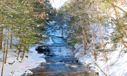 Rise and Shine: Tuesday, March 3, 2026