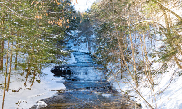 Rise and Shine: Tuesday, March 3, 2026