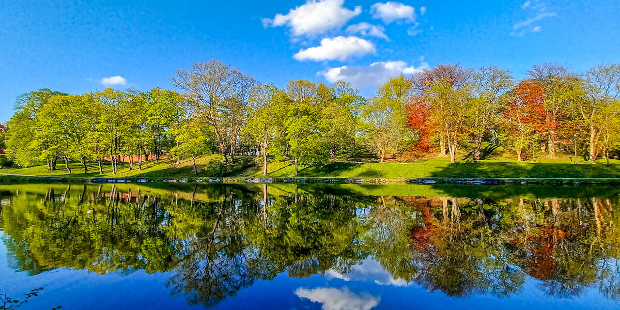 Rise and Shine: Wednesday, April 22, 2026