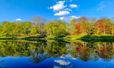 Rise and Shine: Wednesday, April 22, 2026