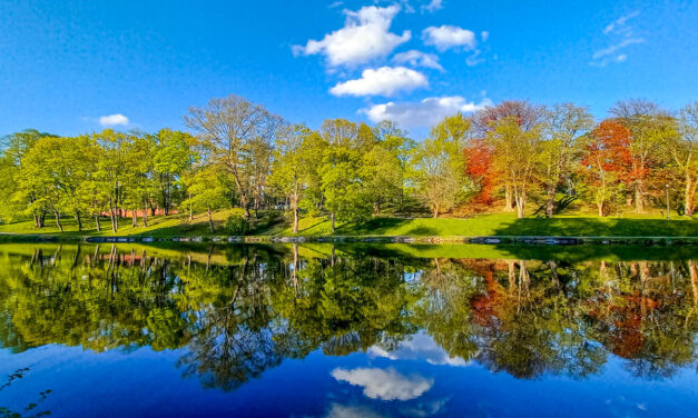 Rise and Shine: Wednesday, April 22, 2026