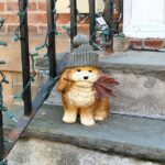 Rise and Shine: Thursday, April 23, 2026