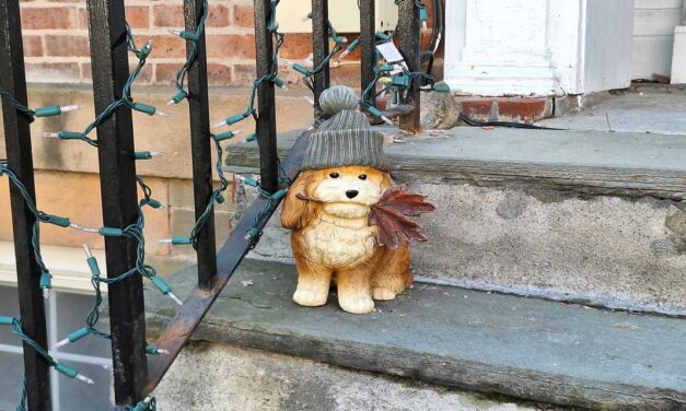 Rise and Shine: Thursday, April 23, 2026