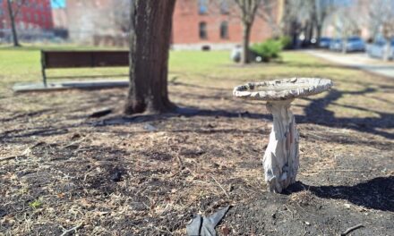 Rise and Shine: Tuesday, April 7, 2026