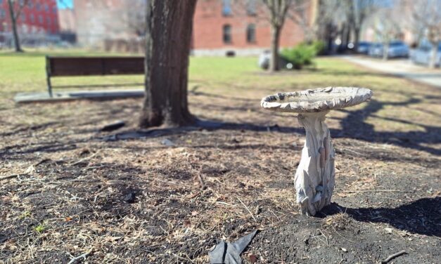 Rise and Shine: Tuesday, April 7, 2026