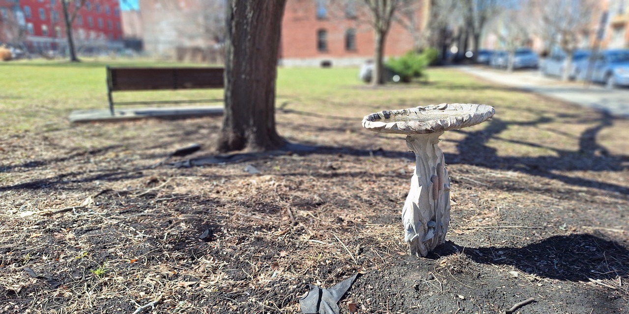 Rise and Shine: Tuesday, April 7, 2026