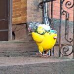 Rise and Shine: Monday, April 20, 2023