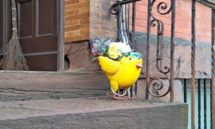 Rise and Shine: Monday, April 20, 2023