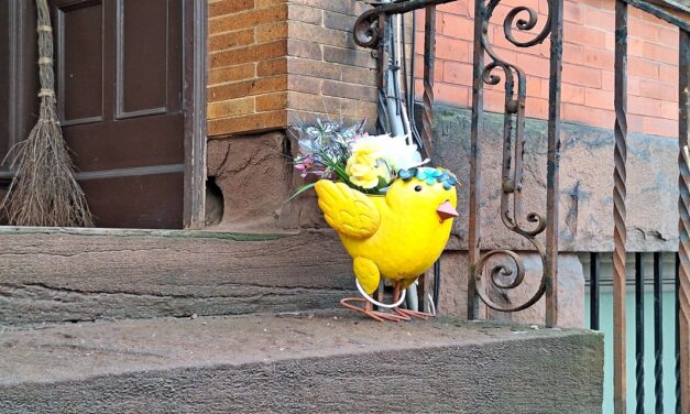 Rise and Shine: Monday, April 20, 2023