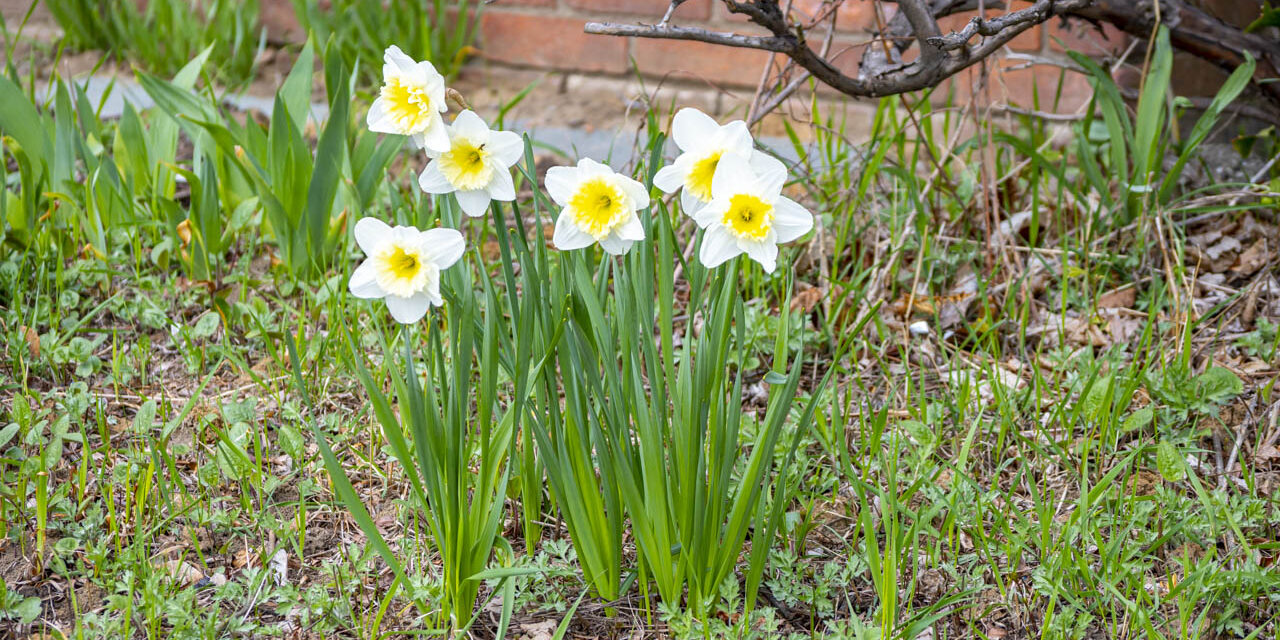 Rise and Shine: Friday, April 10, 2026