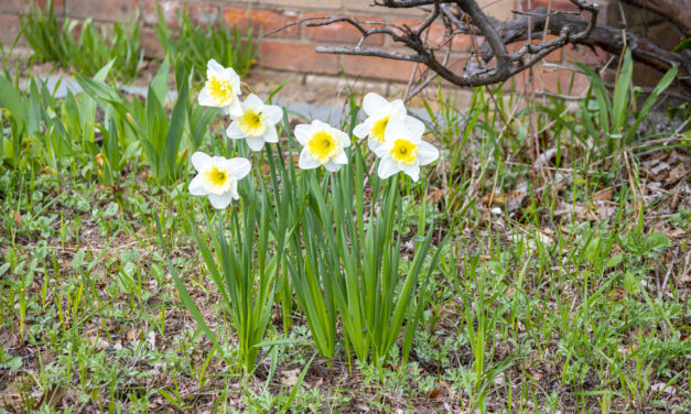 Rise and Shine: Friday, April 10, 2026